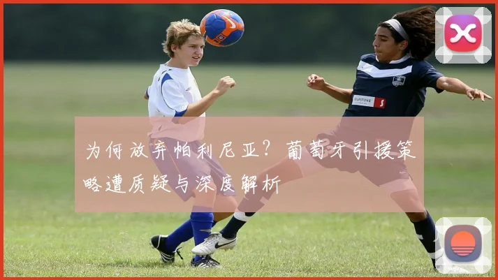 为何放弃帕利尼亚？葡萄牙引援策略遭质疑与深度解析