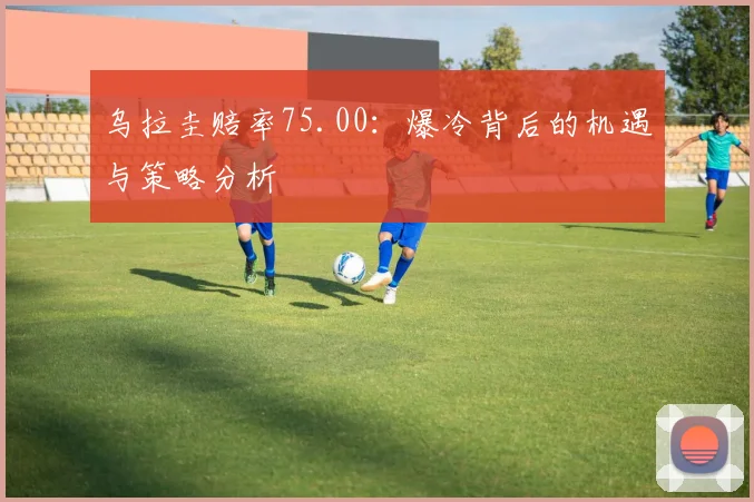 乌拉圭赔率75.00：爆冷背后的机遇与策略分析