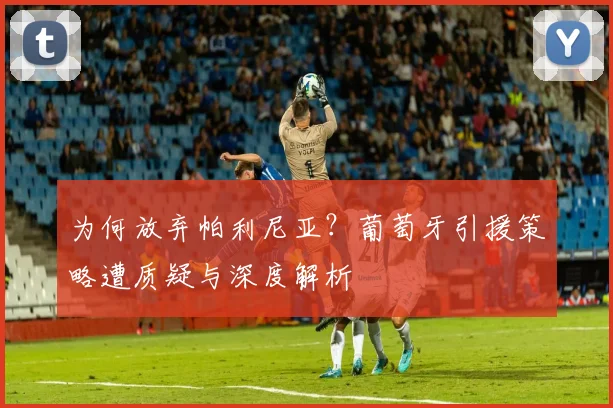 为何放弃帕利尼亚?葡萄牙引援策略遭质疑与深度解析