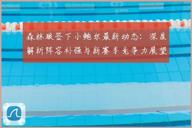 森林狼签下小鲍尔最新动态：深度解析阵容补强与新赛季竞争力展望