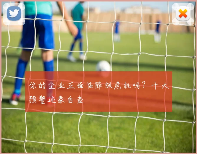 你的企业正面临降级危机吗？十大预警迹象自查