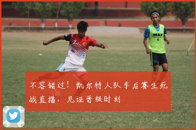 不容错过！凯尔特人队季后赛生死战直播，见证晋级时刻